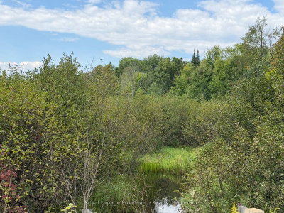 0 Twin Sisters Lake Road • Limoges, ON photo 9