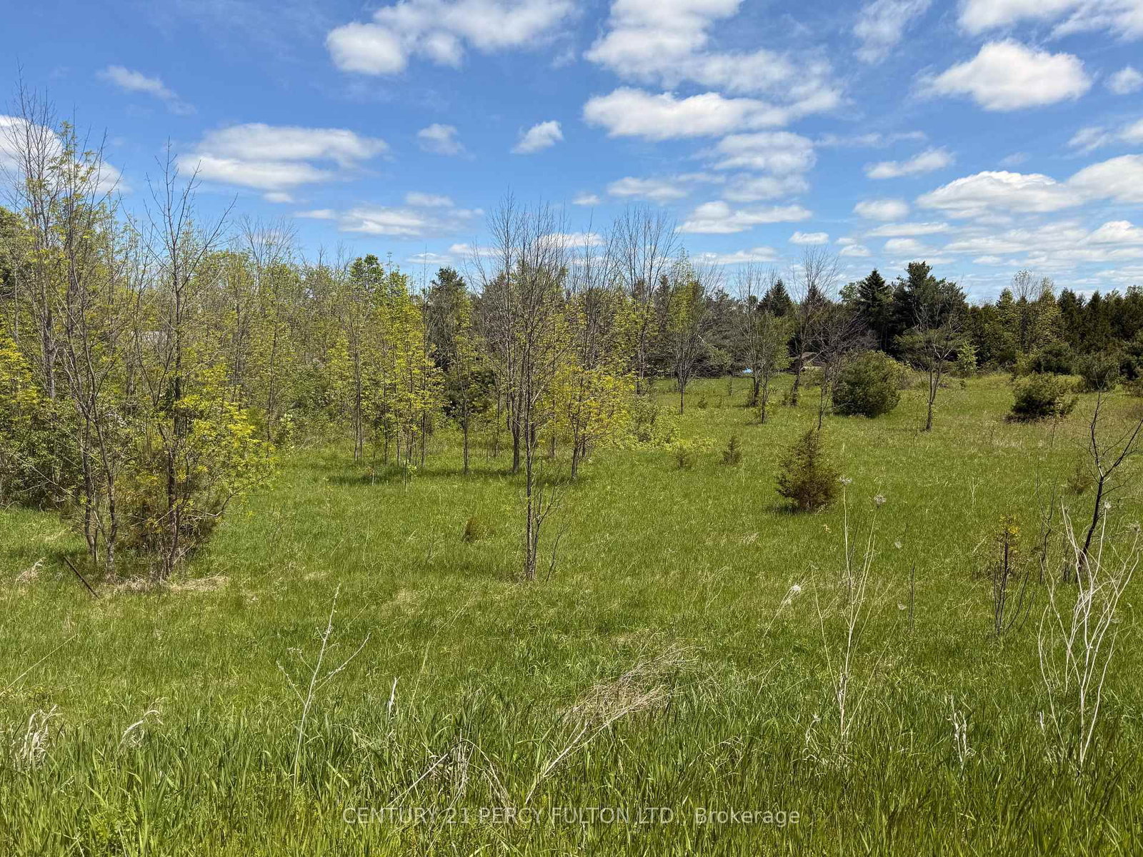 LOT 55, 56 &57 COUNTY RD 25 • Trent Hills, ON photo 1