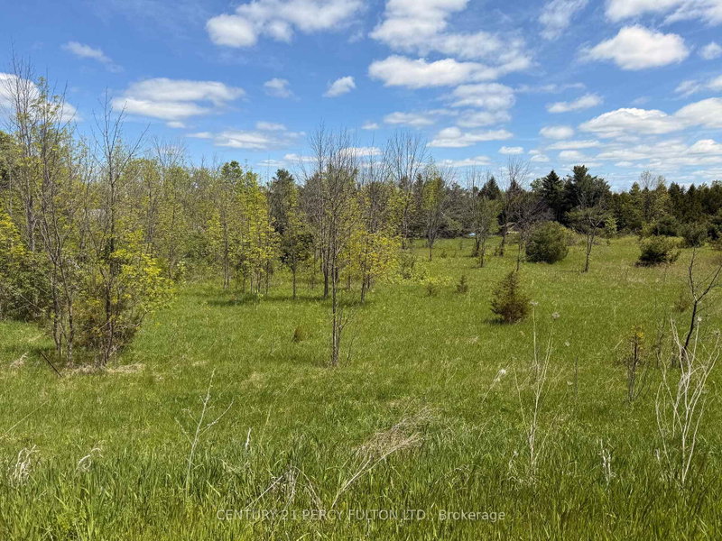 LOT 55, 56 &57 COUNTY RD 25