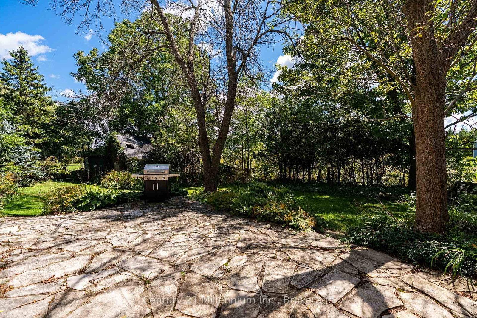 101774 Grey 5 Road • Georgian Bluffs, ON photo 40