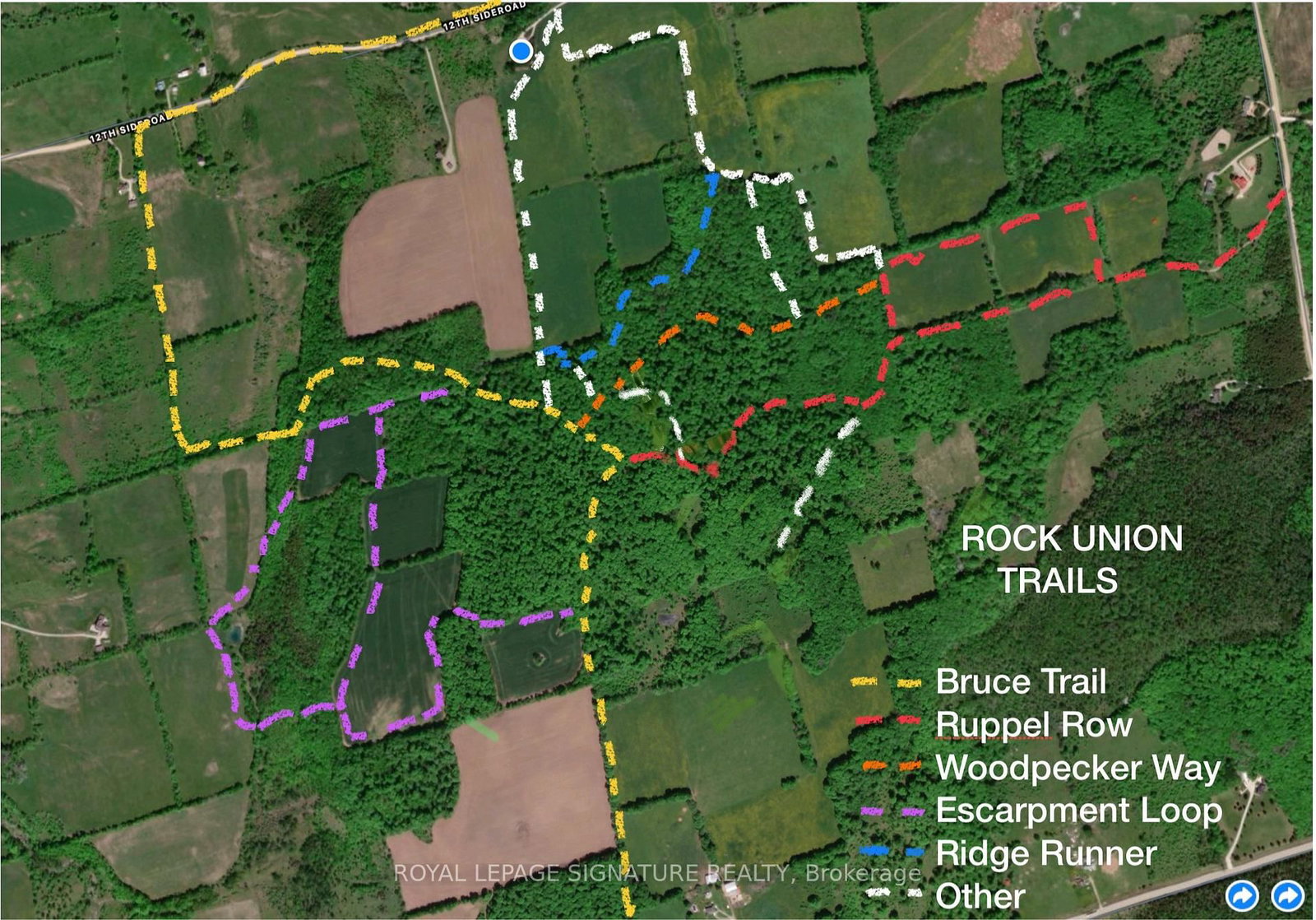 608450 12th Side Road • Blue Mountains, ON photo 35