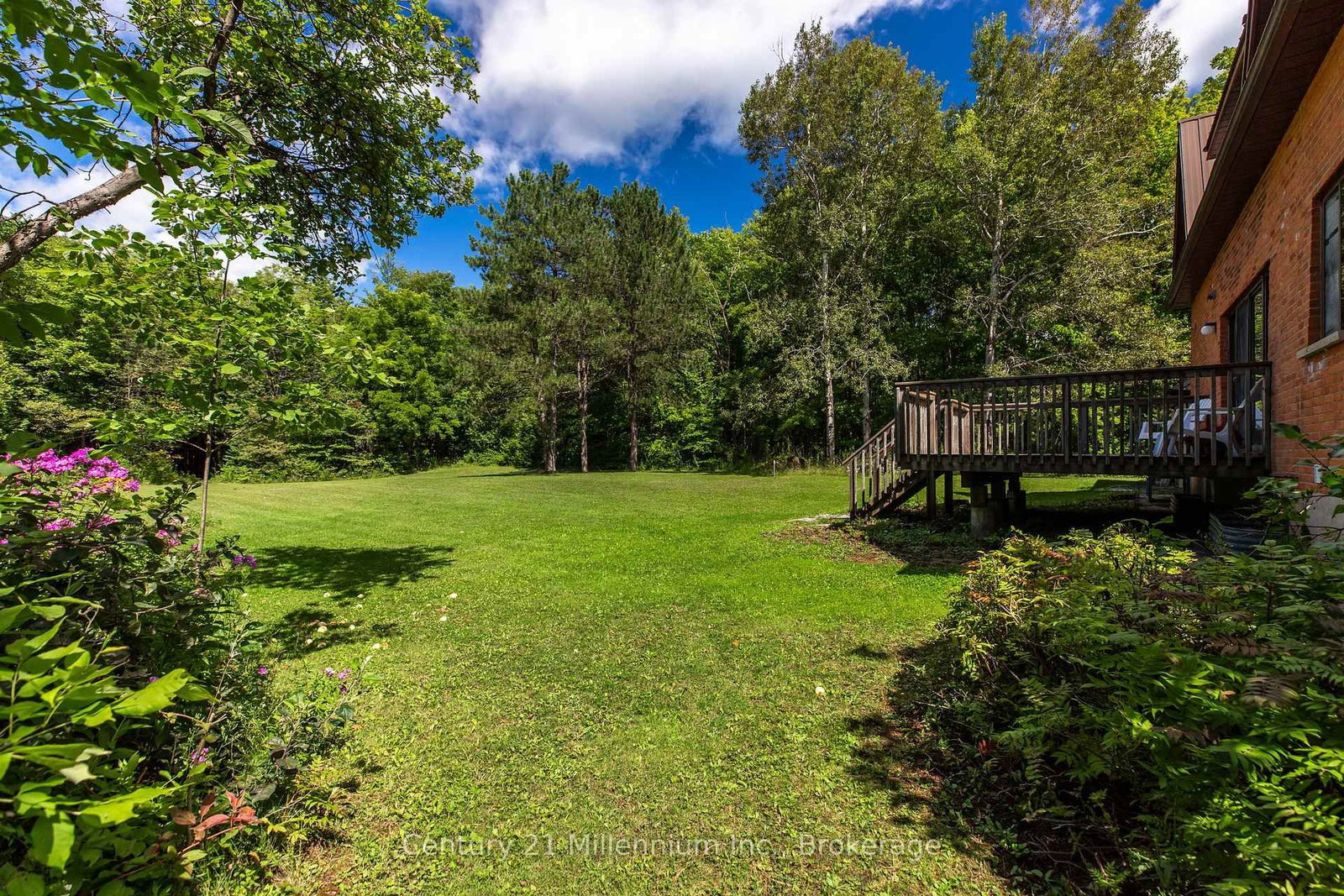 425005 Irish Lake Road • Grey Highlands, ON photo 10