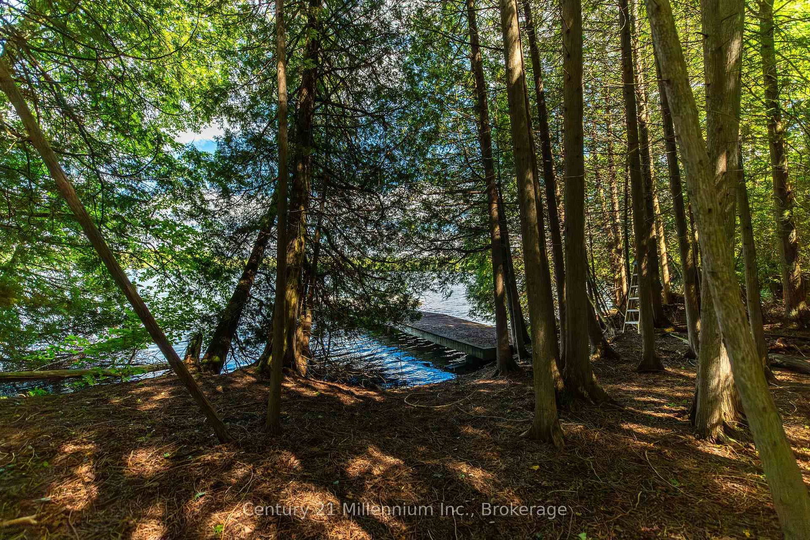 425005 Irish Lake Road • Grey Highlands, ON photo 12