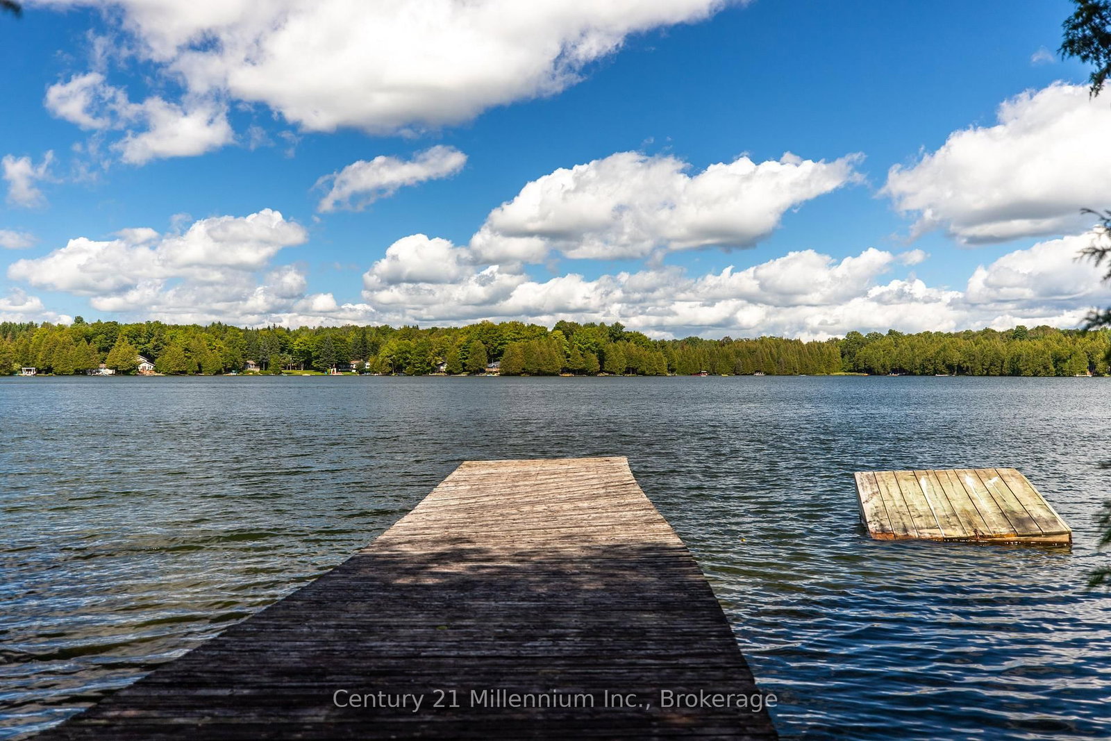 425005 Irish Lake Road • Grey Highlands, ON photo 16