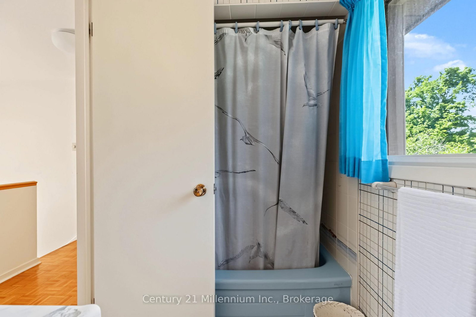 425005 Irish Lake Road • Grey Highlands, ON photo 43