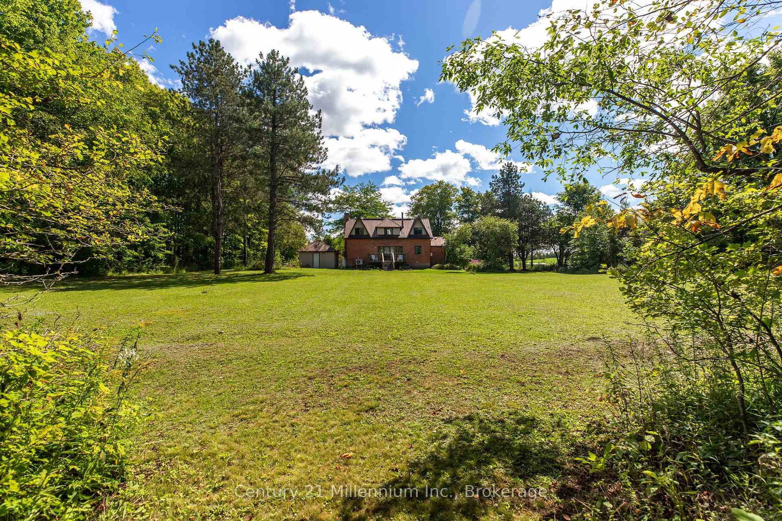 425005 Irish Lake Road • Grey Highlands, ON photo 45