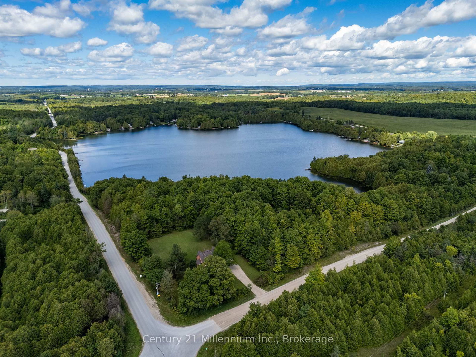 425005 Irish Lake Road • Grey Highlands, ON photo 5
