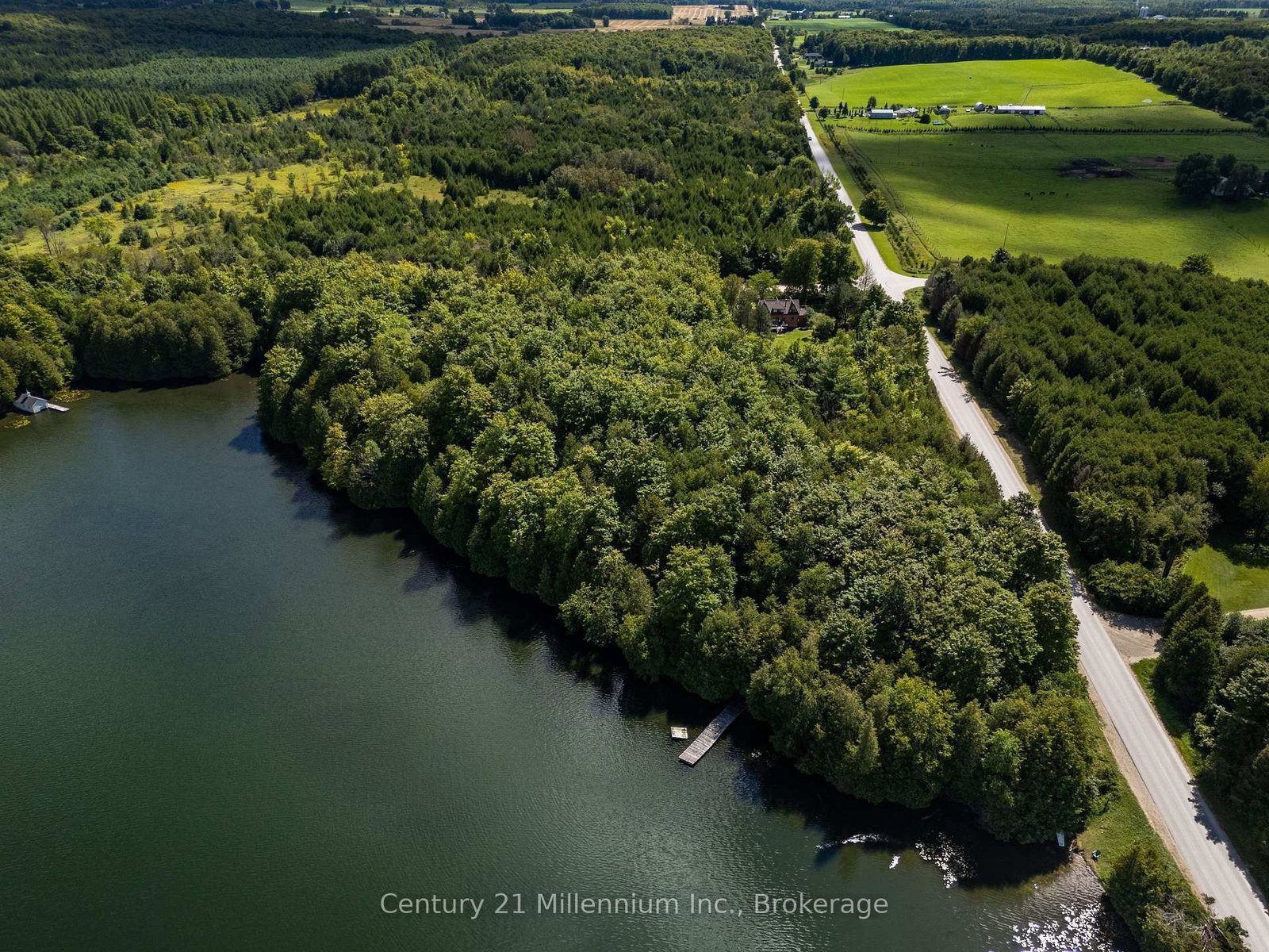 425005 Irish Lake Road • Grey Highlands, ON photo 6
