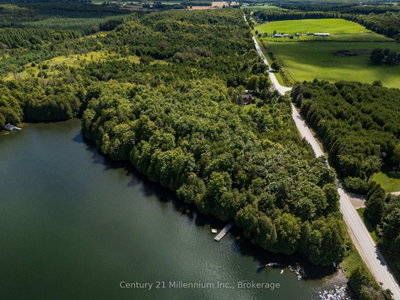 425005 Irish Lake Road • Grey Highlands, ON photo 6