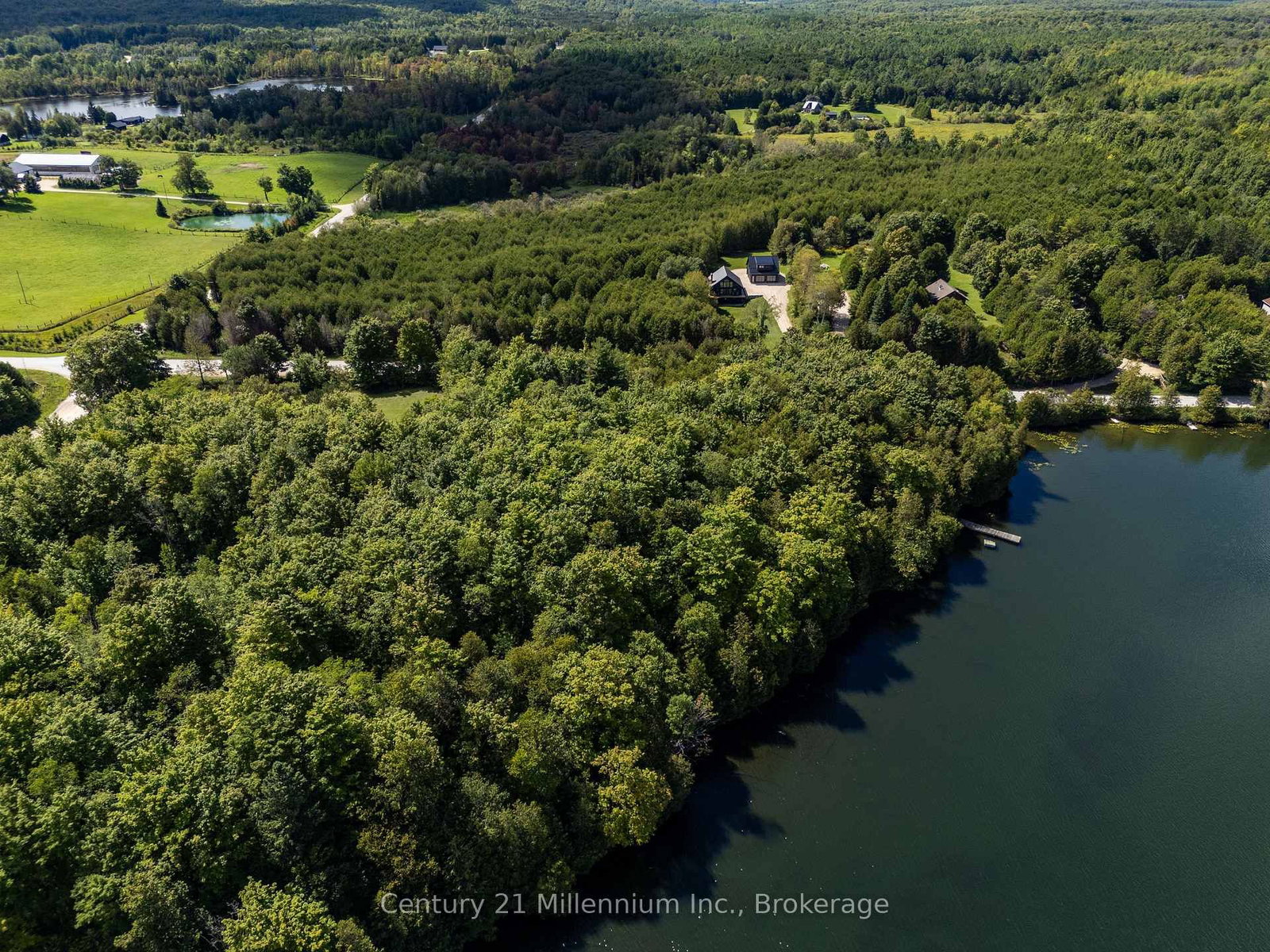 425005 Irish Lake Road • Grey Highlands, ON photo 8
