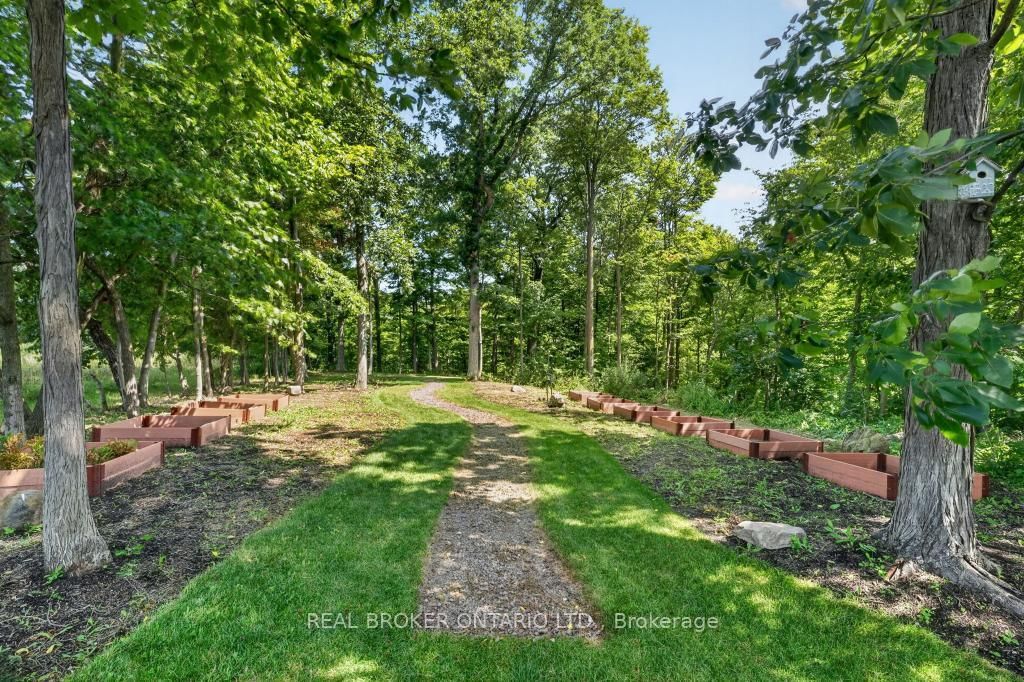 3169 King Street • Lincoln, ON photo 10