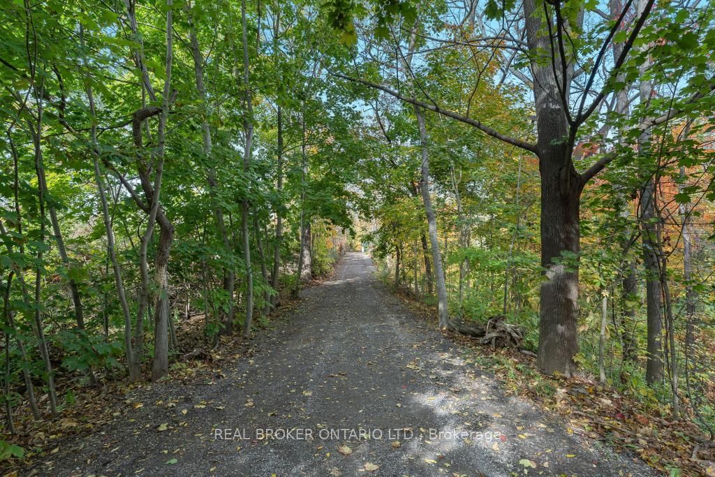 3169 King Street • Lincoln, ON photo 11
