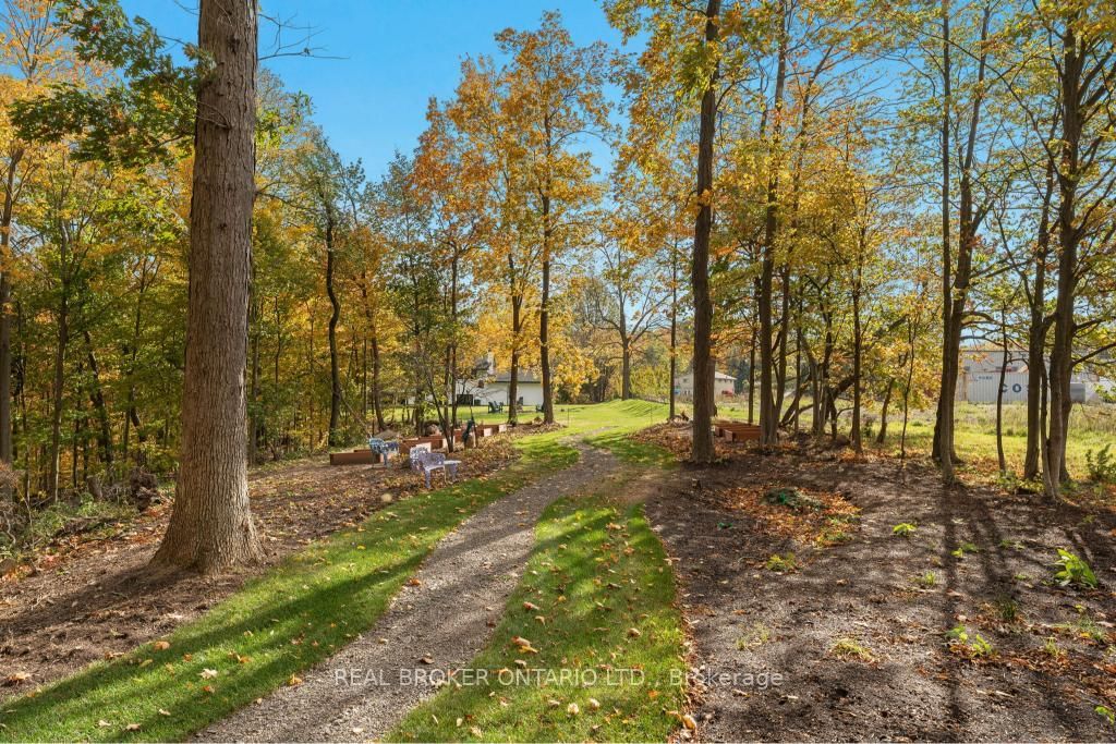 3169 King Street • Lincoln, ON photo 50
