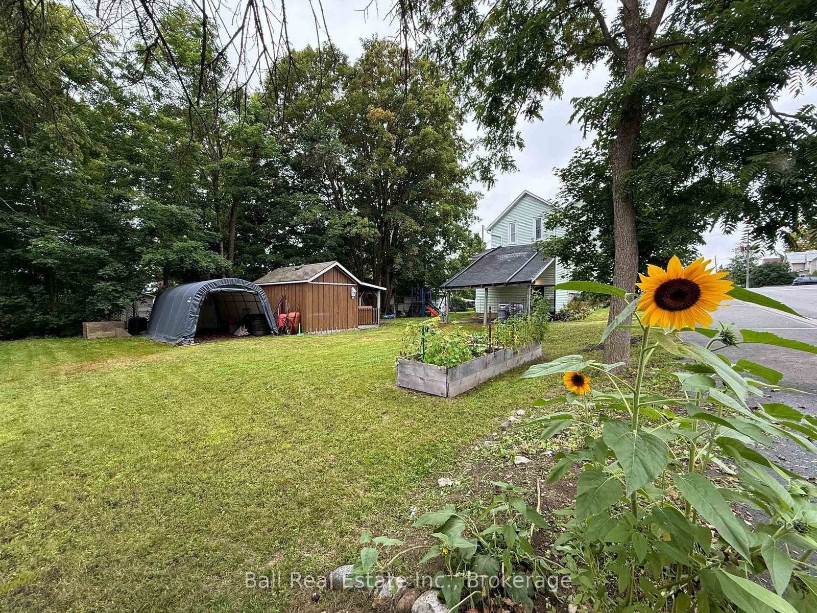 22 Oak Street • Havelock-Belmont-Methuen, ON photo 10