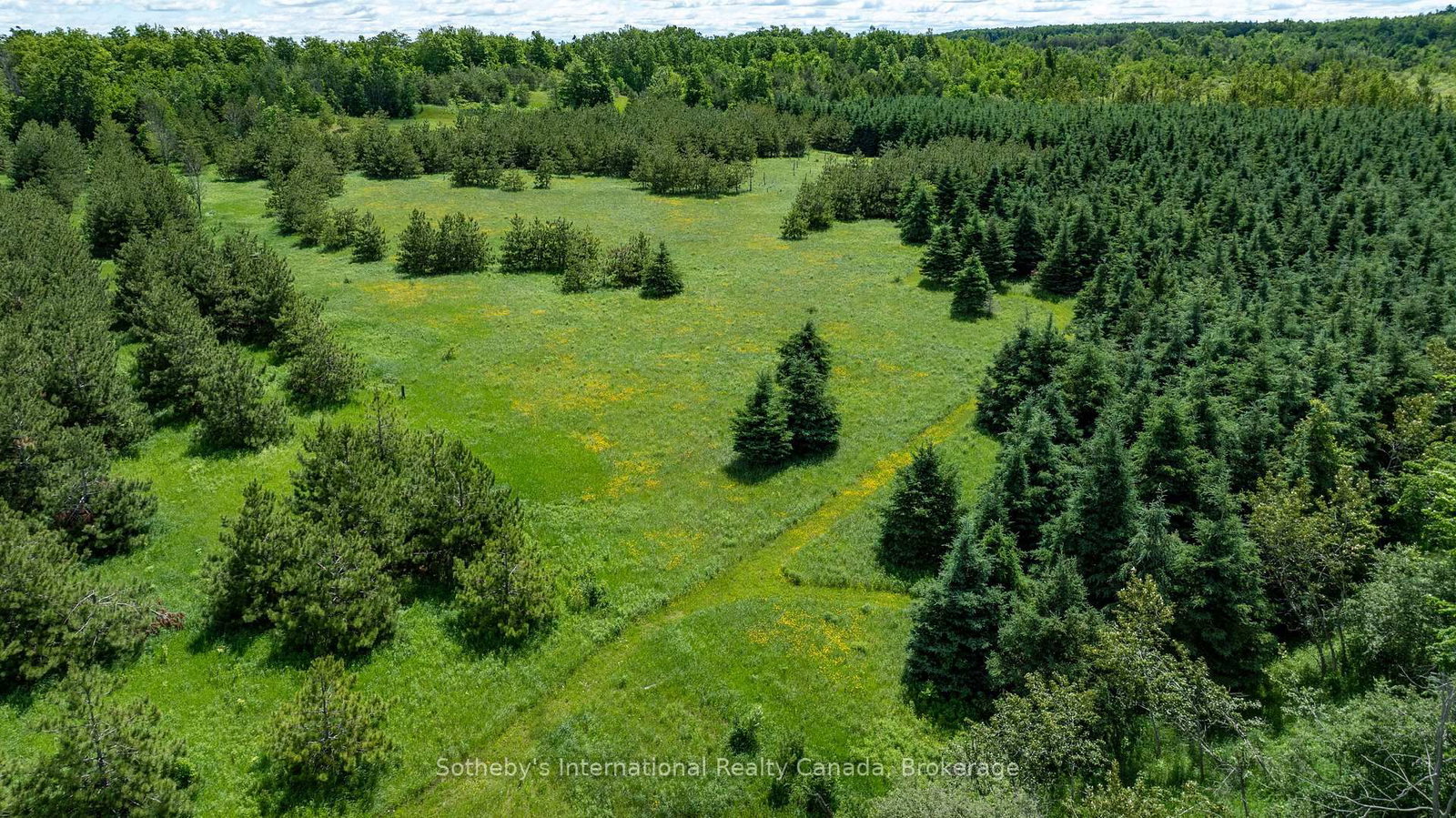 Lot 14 Con 2 1st Line E EHS • Mulmur, ON photo 10