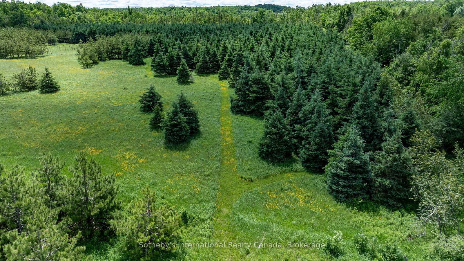 Lot 14 Con 2 1st Line E EHS • Mulmur, ON photo 11