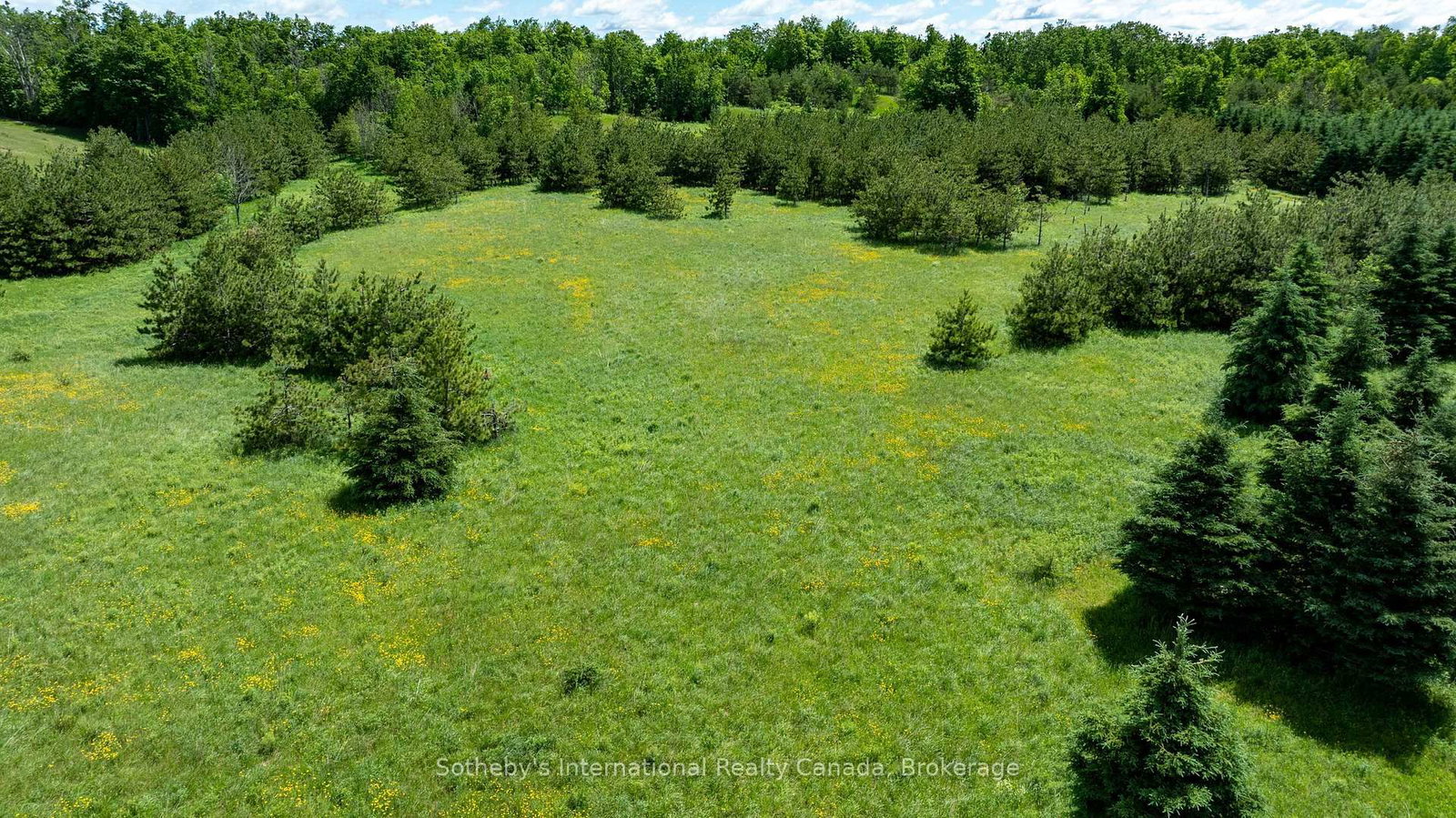 Lot 14 Con 2 1st Line E EHS • Mulmur, ON photo 12