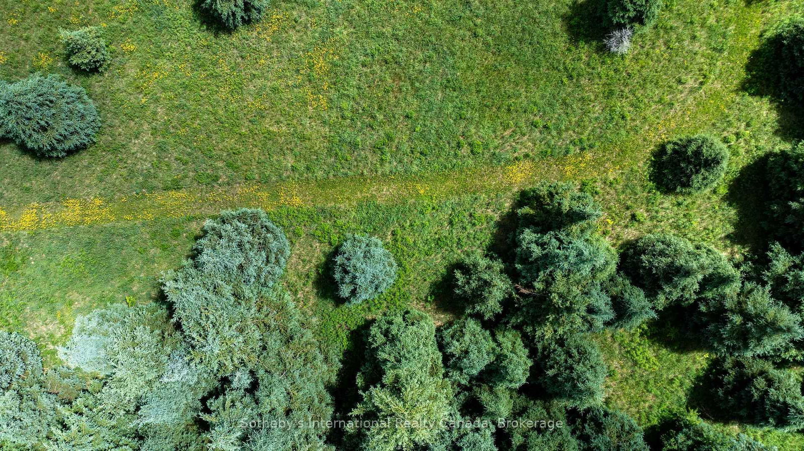 Lot 14 Con 2 1st Line E EHS • Mulmur, ON photo 13