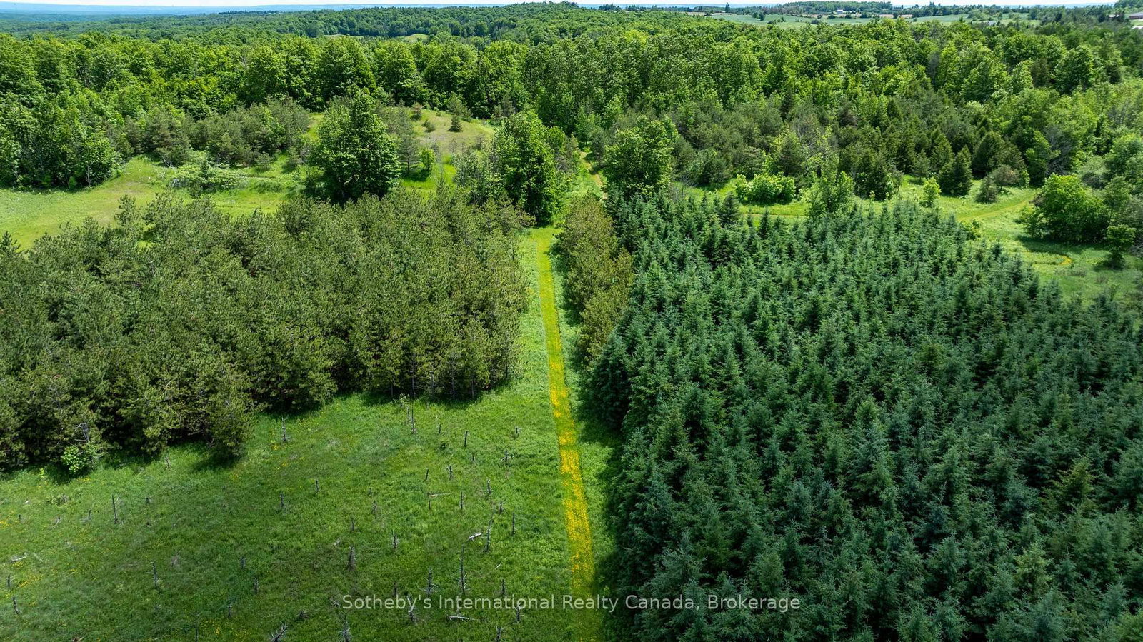 Lot 14 Con 2 1st Line E EHS • Mulmur, ON photo 14