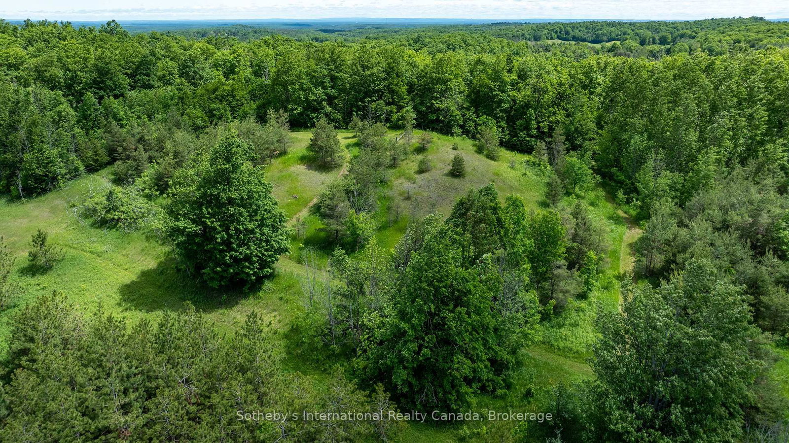 Lot 14 Con 2 1st Line E EHS • Mulmur, ON photo 15