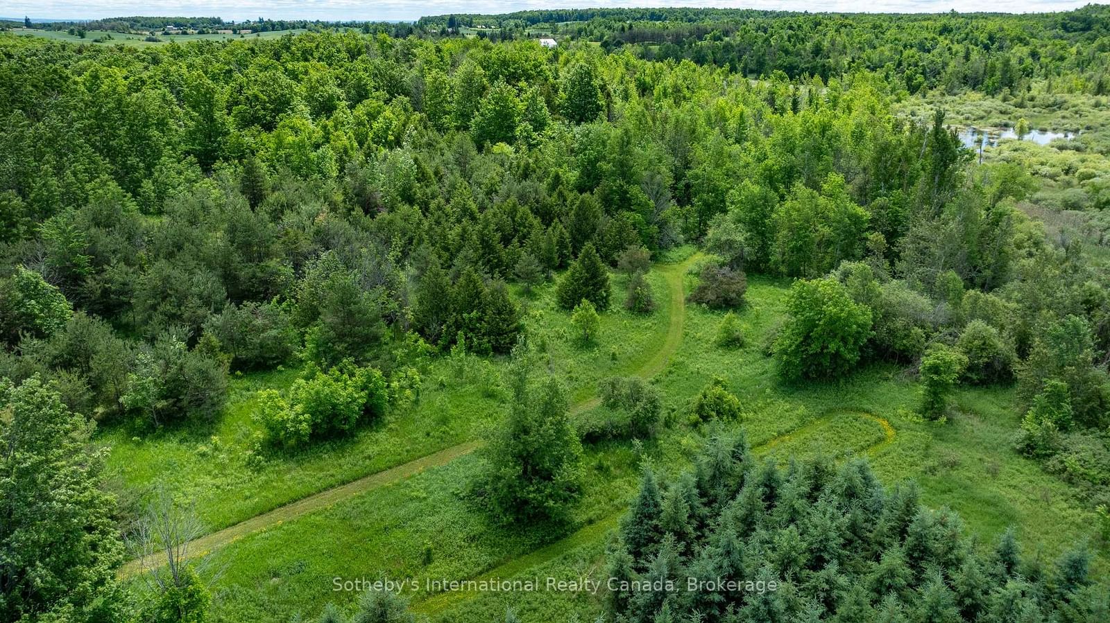 Lot 14 Con 2 1st Line E EHS • Mulmur, ON photo 16