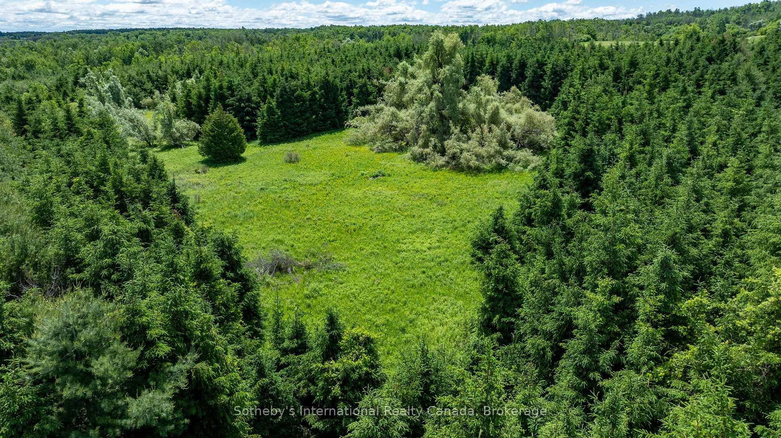 Lot 14 Con 2 1st Line E EHS • Mulmur, ON photo 17