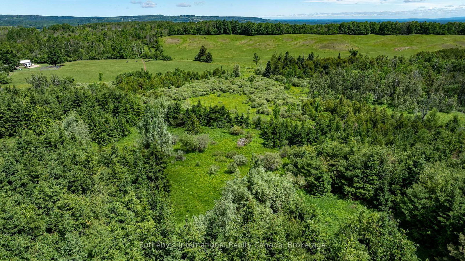 Lot 14 Con 2 1st Line E EHS • Mulmur, ON photo 19