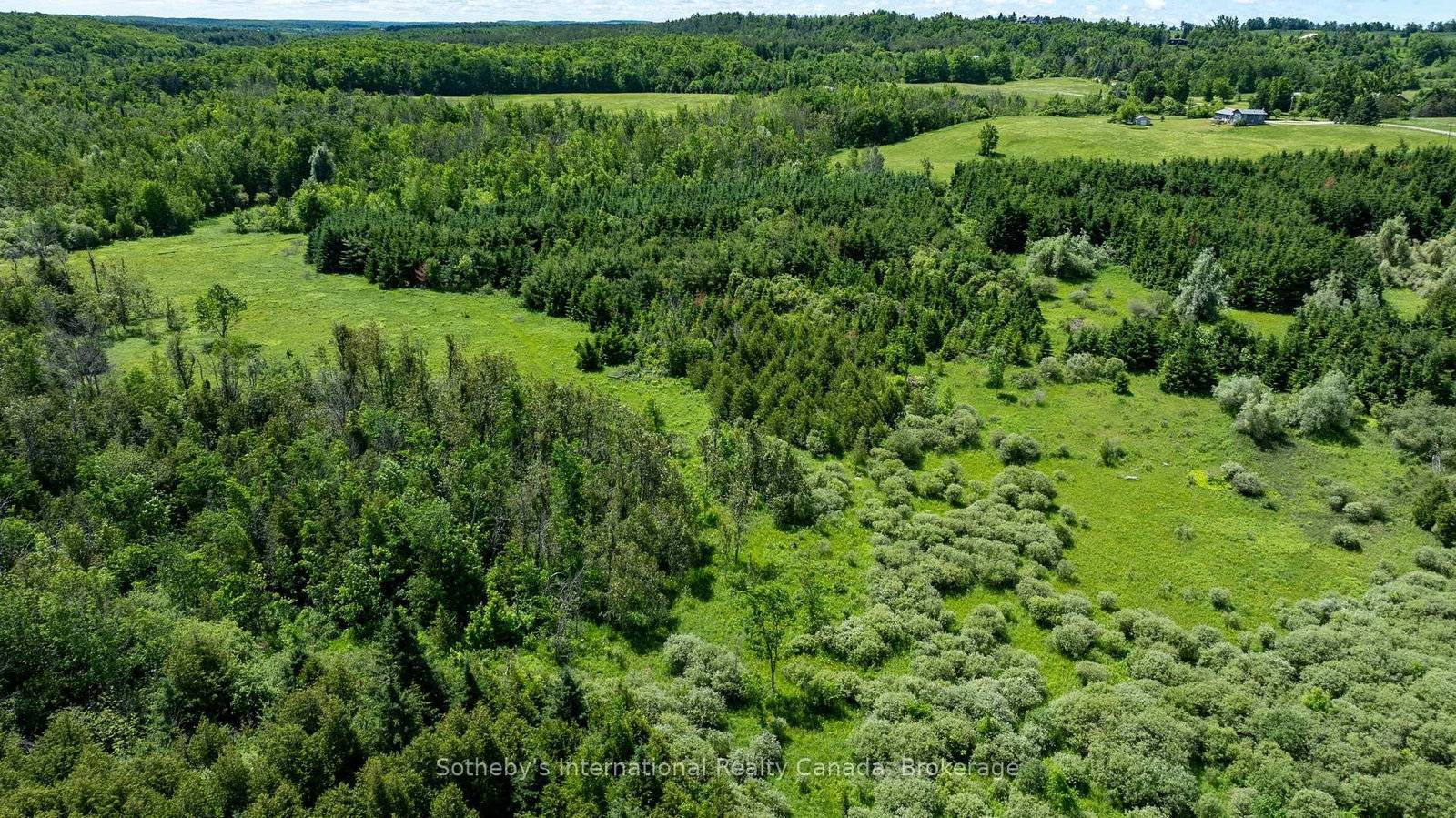 Lot 14 Con 2 1st Line E EHS • Mulmur, ON photo 20