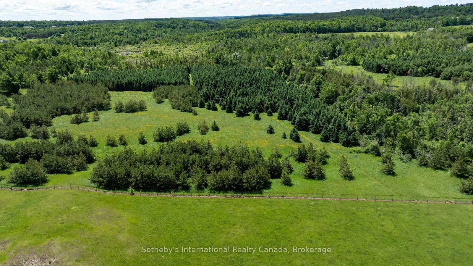 Lot 14 Con 2 1st Line E EHS • Mulmur, ON photo 21