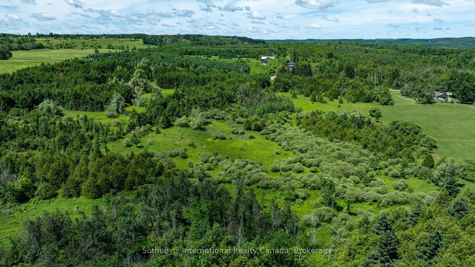 Lot 14 Con 2 1st Line E EHS • Mulmur, ON photo 23