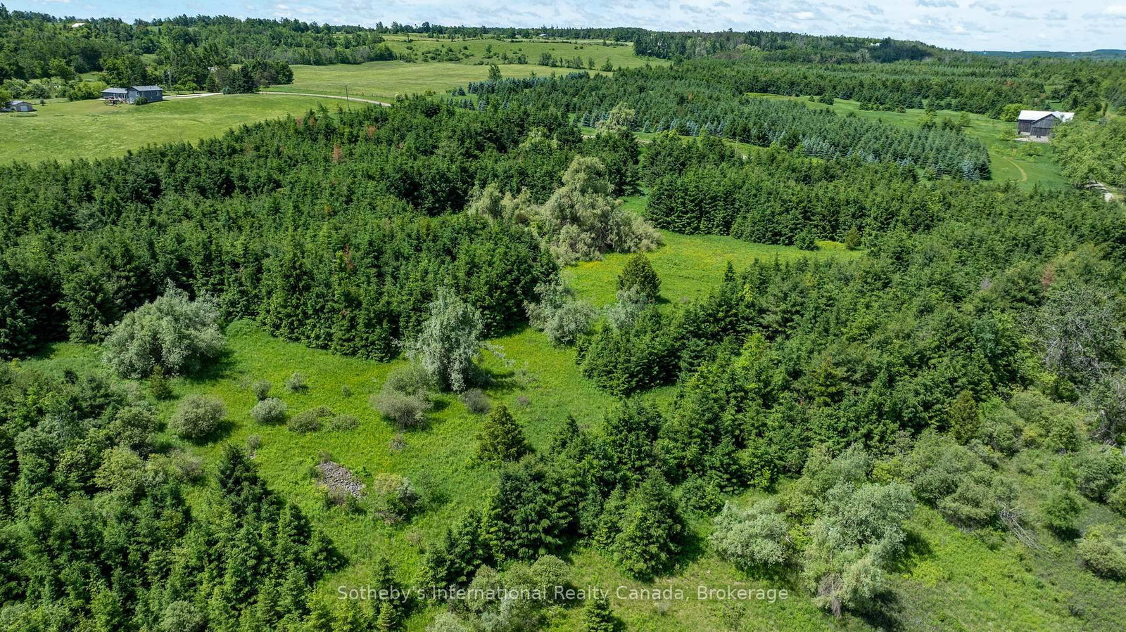 Lot 14 Con 2 1st Line E EHS • Mulmur, ON photo 24