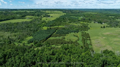 Lot 14 Con 2 1st Line E EHS • Mulmur, ON photo 5