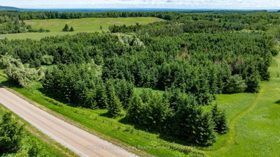 Lot 14 Con 2 1st Line E EHS • Mulmur, ON photo 9