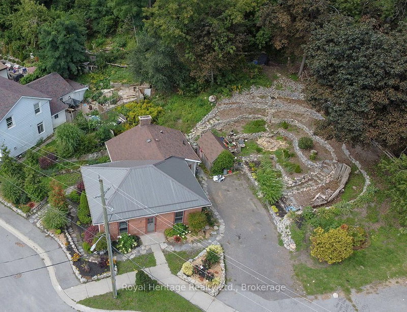 6 Willard Street