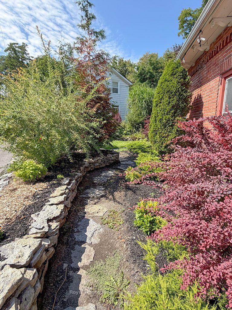 6 Willard Street • Belleville, ON photo 34