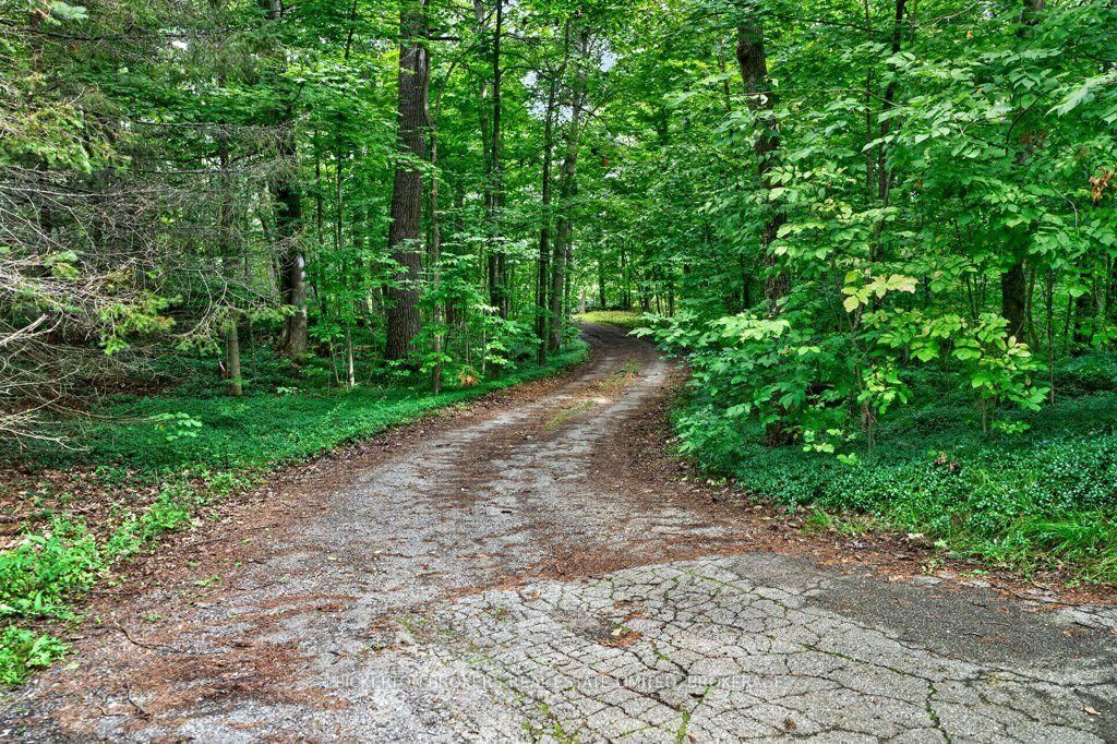 237 Old River Road • Leeds and the Thousand Islands, ON photo 39