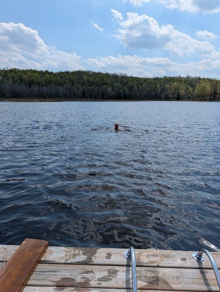 9842 Highway 35 • Minden Hills, ON photo 18