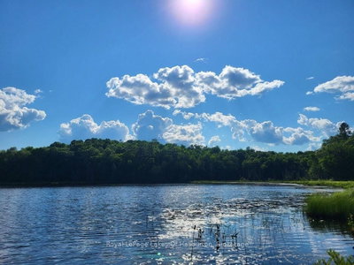 9842 Highway 35 • Minden Hills, ON photo 2