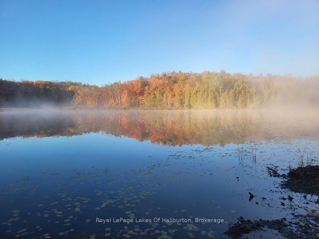 9842 Highway 35 • Minden Hills, ON photo 21