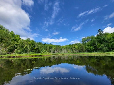 9842 Highway 35 • Minden Hills, ON photo 3