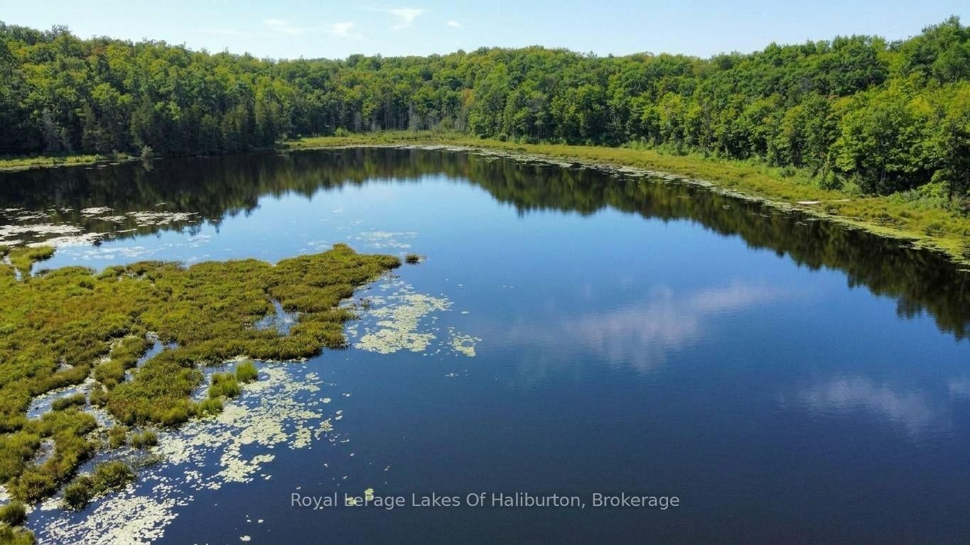 9842 Highway 35 • Minden Hills, ON photo 30