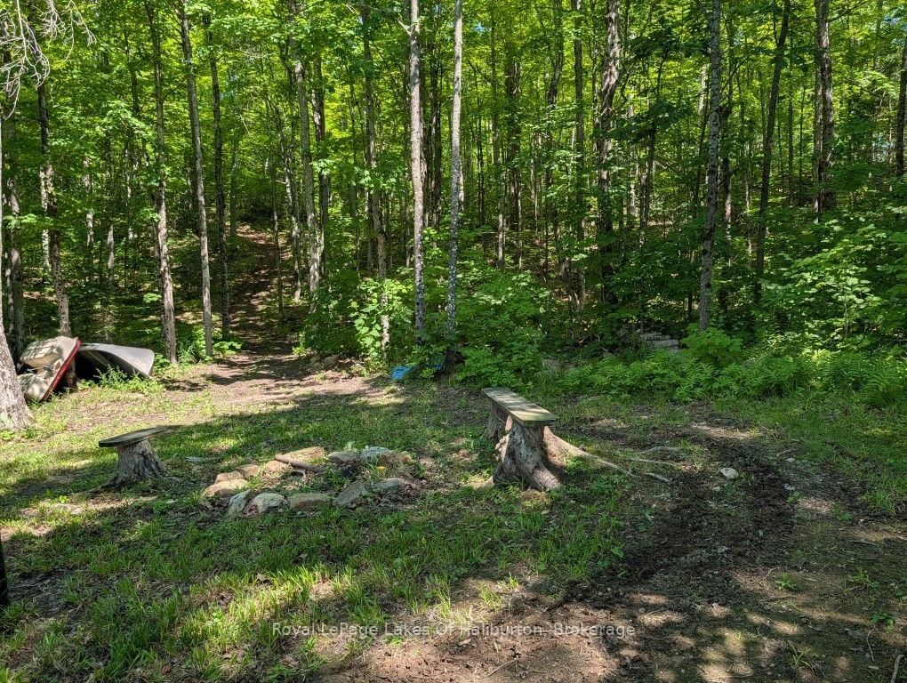 9842 Highway 35 • Minden Hills, ON photo 32