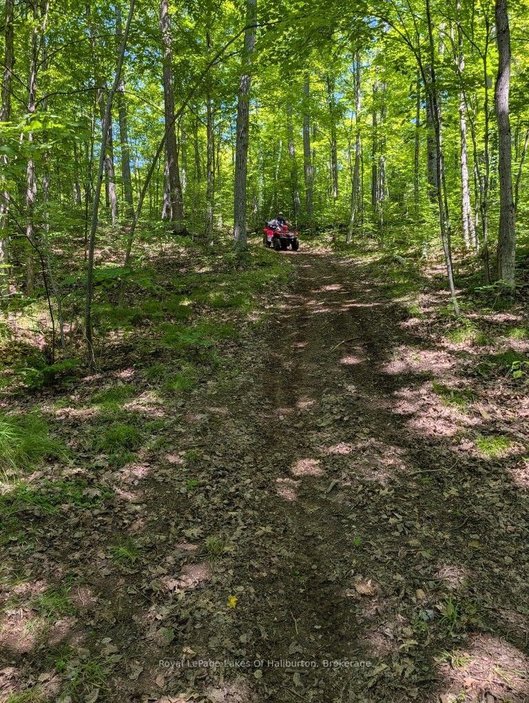 9842 Highway 35 • Minden Hills, ON photo 33