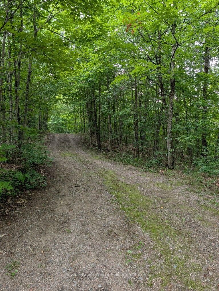 9842 Highway 35 • Minden Hills, ON photo 39