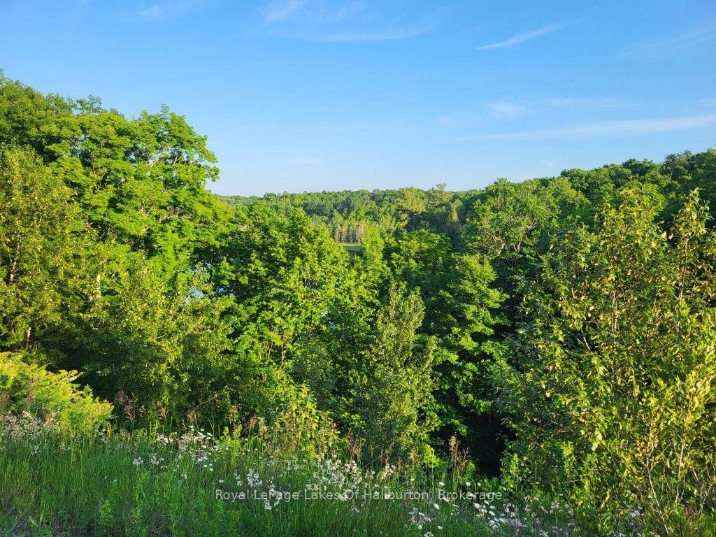 9842 Highway 35 • Minden Hills, ON photo 40