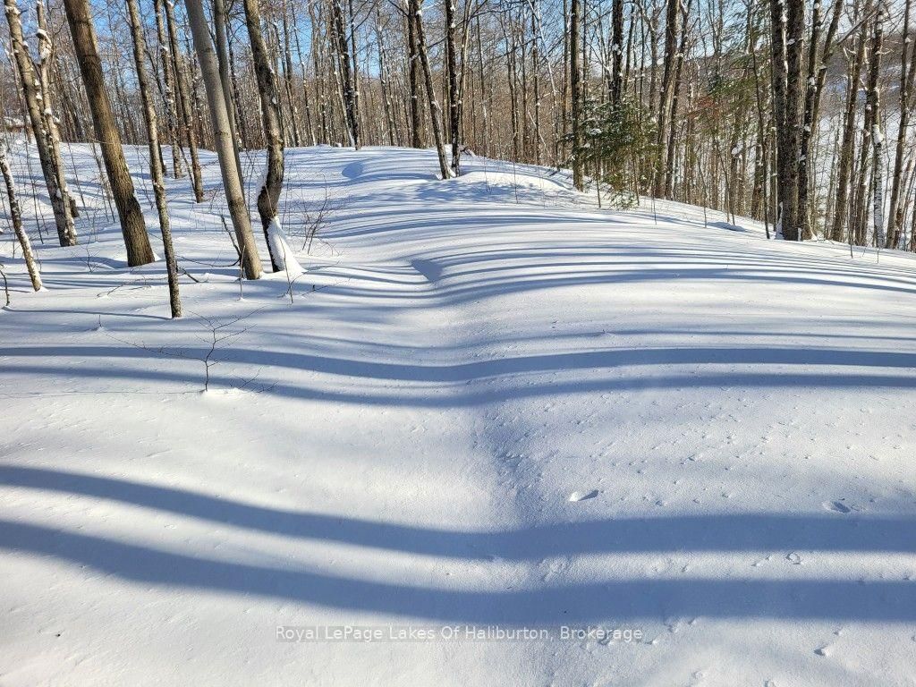 9842 Highway 35 • Minden Hills, ON photo 41
