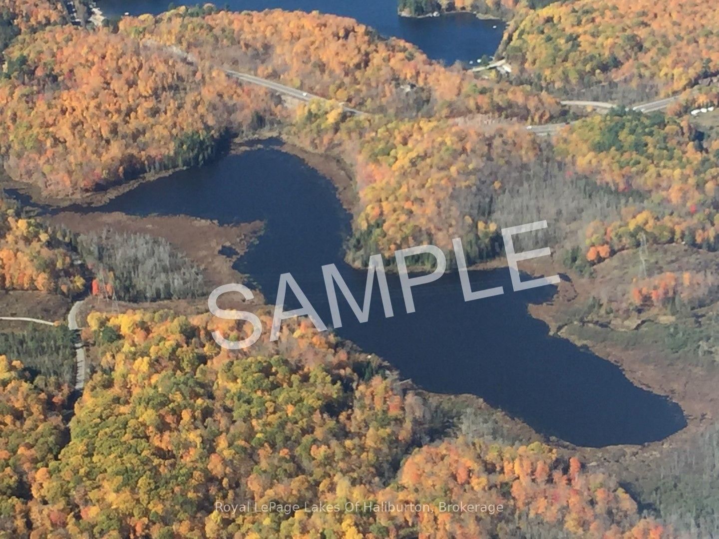 9842 Highway 35 • Minden Hills, ON photo 42