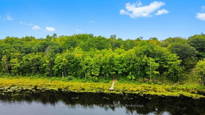 9842 Highway 35 • Minden Hills, ON photo 6