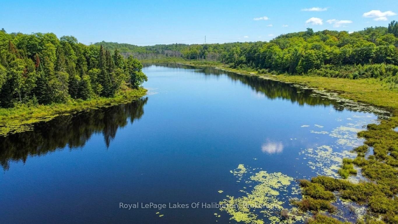 9842 Highway 35 • Minden Hills, ON photo 8