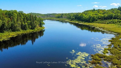9842 Highway 35 • Minden Hills, ON photo 8